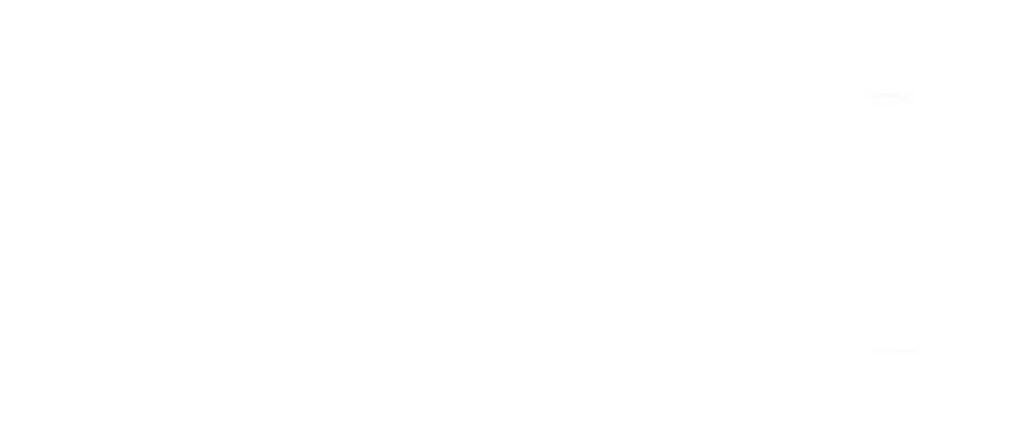 Dog Store India Logo